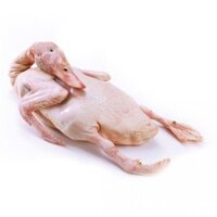 Vịt xiêm nguyên con - 1kg ( đặt trước)