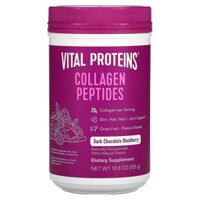 Vital Proteins Collagen Peptides Dark Chocolate Blackberry 10.8 oz (305 g)