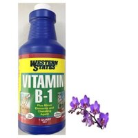 Vitamin B-1 Western States - Cho Cây con & Cây mới lớn [USA] - #617A# 0.95 lít