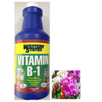 Vitamin B-1 Western States - Cho Cây con & Cây mới lớn [USA] - #617A# 0.95 lít