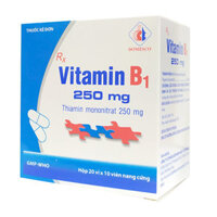 Vitamin B1 250mg Domesco 20 vỉ x 10 viên