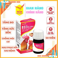 Vitamin B15 Gà Đá ( 50v/hộp )- Tăng cơ và sức bền, giảm căng thẳng cho Gà