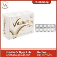 Vitamin B6 250mg Mekophar