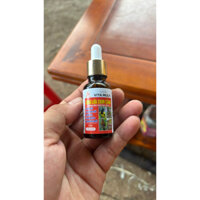 vitamin tăng lửa chim cảnh