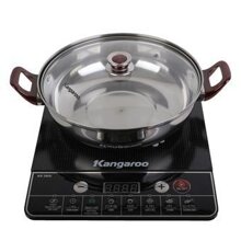 Bếp từ Kangaroo KG420