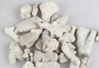 VLL san hô vụn 1kg