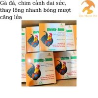 VMD Effervita Amino [10 viên] gà đá, chim cảnh tăng trọng, dai sức, chim cảnh bóng mượt lông, thay lông nhanh căng lửa