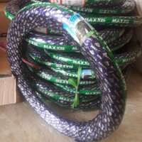 Vỏ 2.75-17 3D Maxxis