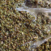 Vỏ đậu xanh refill – Gói 500g