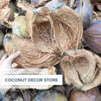 VỎ DỪA KHÔ ĐA DỤNG 10 CÁI