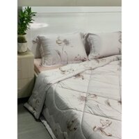Vỏ gối cao cấp KT 50 x 70 - Vỏ gối Tencel 60s Cao cấp, Siêu mát