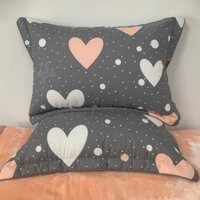 Vỏ Gối Đầu Cotton Hàn Quốc 45x65cm Có Lót Bông Bên Trong Và Khoá Kéo Tiện Lợi