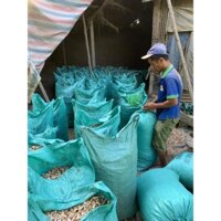 vỏ lạc sống bán theo bao