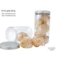 Vỏ Ốc Biển - Hủ Vỏ Ốc giấy Bông - Dùng Trong Trang Trí - Decor Chụp Ảnh