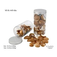 Vỏ Ốc Biển - Hủ Vỏ Ốc Mỡ Nâu - Dùng Trong Trang Trí - Decor Chụp Ảnh