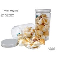Vỏ Ốc Biển - Hủ Vỏ Ốc Nhảy - Dùng Trong Trang Trí - Decor Chụp Ảnh