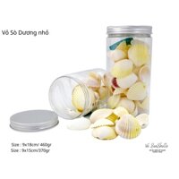 Vỏ Ốc Biển - Hủ Vỏ Sò Dương - Dùng Trong Trang Trí - Decor Chụp Ảnh.