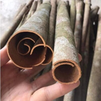 Vỏ Quế Khô (Quế Chi) Đẹp Hàng Loại 1 Thơm Cay Văn Yên - Yên Bái ( Loại Quế Ống Quế Thân)