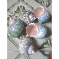 vỏ sà cừ xanh khổng lồ dùng cho ốc mượn hồn thay vỏ size 2xl, 3xl, 4xl