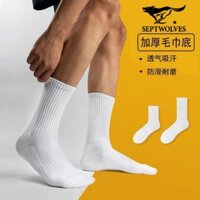 Vớ thể thao trắng Septwolves cho nam, vớ giữa bắp chân, cotton nguyên chất, chống mùi, thấm mồ hôi, vớ nam mỏng dài