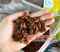 Vỏ thông nhập khẩu kích thước 1x2cm – GT5