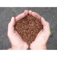 vỏ thông trồng lan