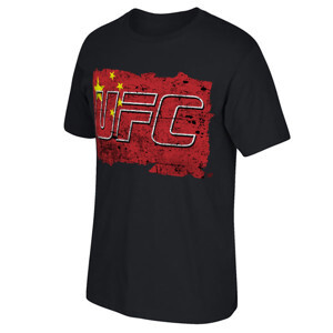 Võ Thuật Trung Quốc - Vương Quảng Tây