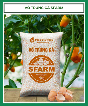 Vỏ trứng gà Sfarm đã qua xử lý - Túi 1Kg