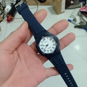 Vỏ xe đạp Schwalbe Citizen (20 inch)