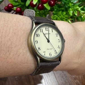 Vỏ xe đạp Schwalbe Citizen (20 inch)