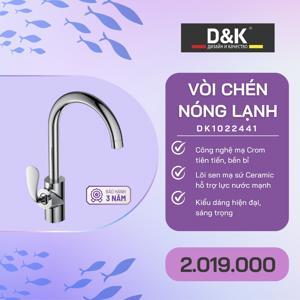 Vòi bếp DK1022441