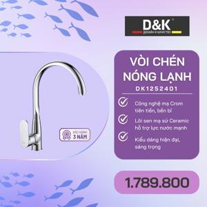 Vòi bếp DK1252401