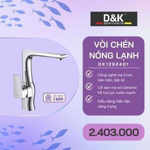 Vòi bếp DK1292401