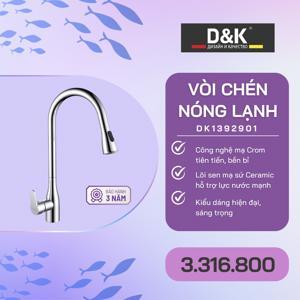 Vòi bếp DK1392901