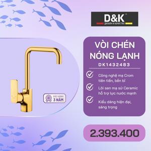 Vòi bếp DK1432483