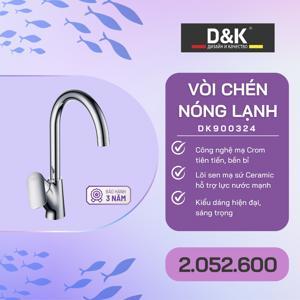 Vòi bếp DK900324