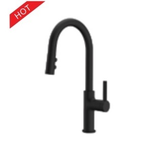 Vòi bếp nóng lạnh Joyce H-V6811P