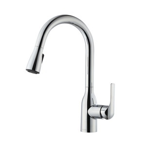 Vòi bếp rút sen Moen GN68000