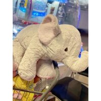 VOI BÔNG AMUSE ĐỦ TAG MAC 55cm