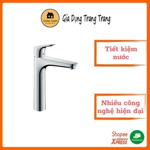 Vòi chậu nóng lạnh Focus Hansgrohe 31531000