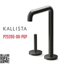 Vòi chậu rửa bát lạnh màu đen Kallista P25205-00-PGP