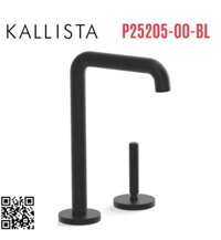 Vòi chậu rửa bát lạnh màu đen Kallista P25205-00-BL