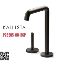Vòi chậu rửa bát lạnh màu đen Kallista P25205-00-BGP