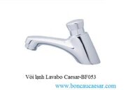 Vòi lạnh Lavabo Caesar-BF053