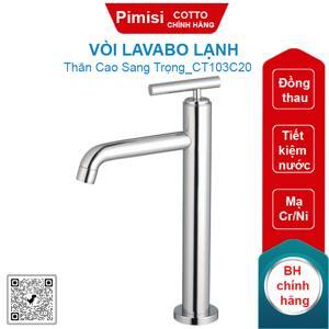 Vòi lavabo lạnh Cotto CT103C20
