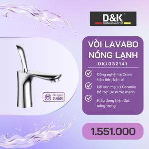 Vòi lavabo nóng lạnh D&K DK1032141