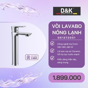 Vòi lavabo nóng lạnh D&K DK1272001