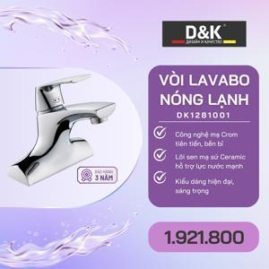 Vòi lavabo nóng lạnh D&K DK1281001
