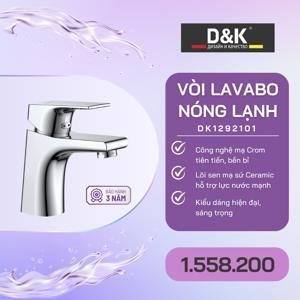 Vòi lavabo nóng lạnh D&K DK1292101