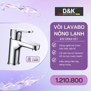 Vòi lavabo nóng lạnh D&K DK1392101